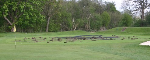 1st Green in March 2007